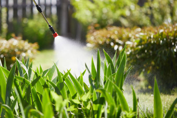 24/7 Emergency Fumigation Services experts in Angola, IN