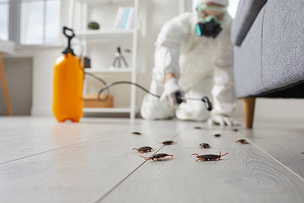 Trusted Cockroach Control service in Angola, IN - Nex Pest Control